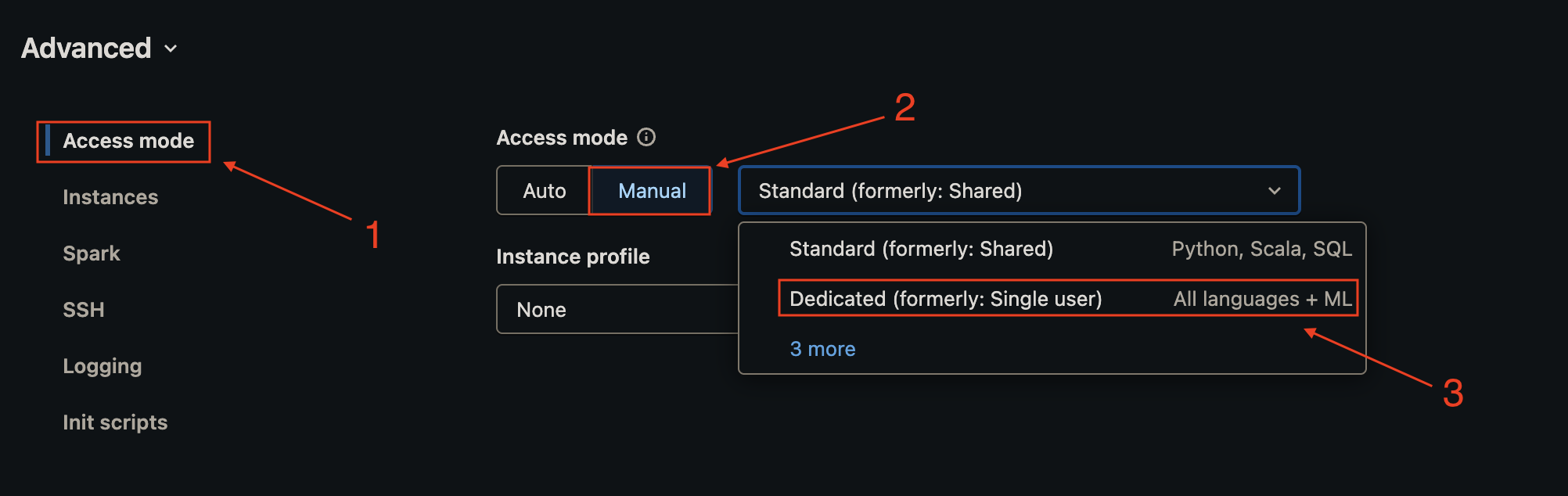 Databricks Access Mode